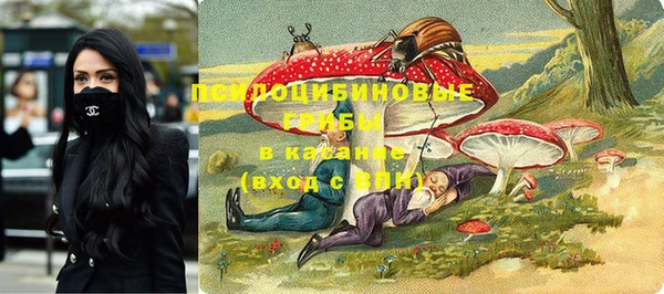 прущие грибы Белокуриха