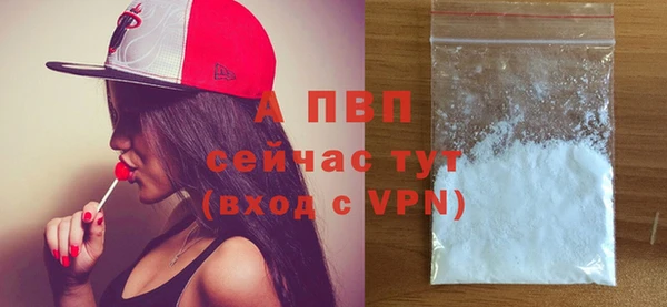 прущие грибы Белокуриха