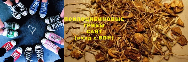 тгк Беломорск
