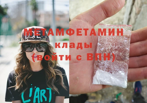 прущие грибы Белокуриха
