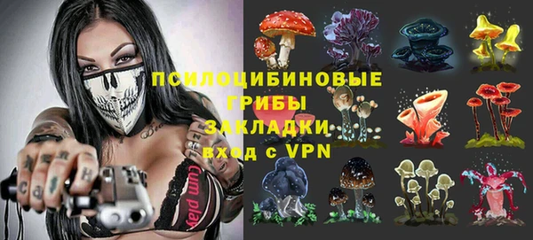 прущие грибы Белокуриха