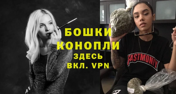 прущие грибы Белокуриха