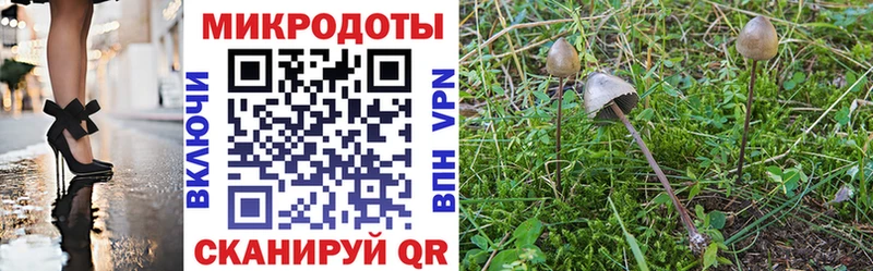 Галлюциногенные грибы Cubensis  Богородск 